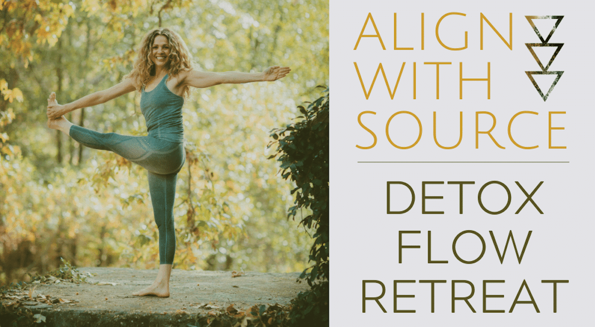 Union Detox Flow Virtual Retreat at Seane Corn