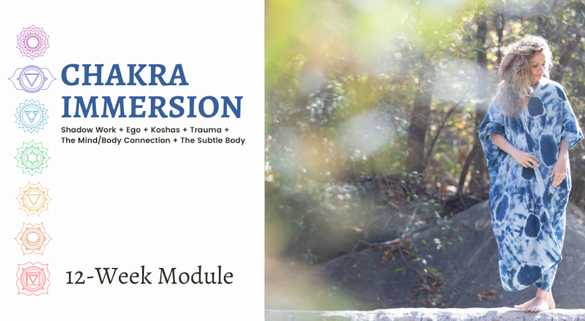 Union Chakra Immersion at Seane Corn