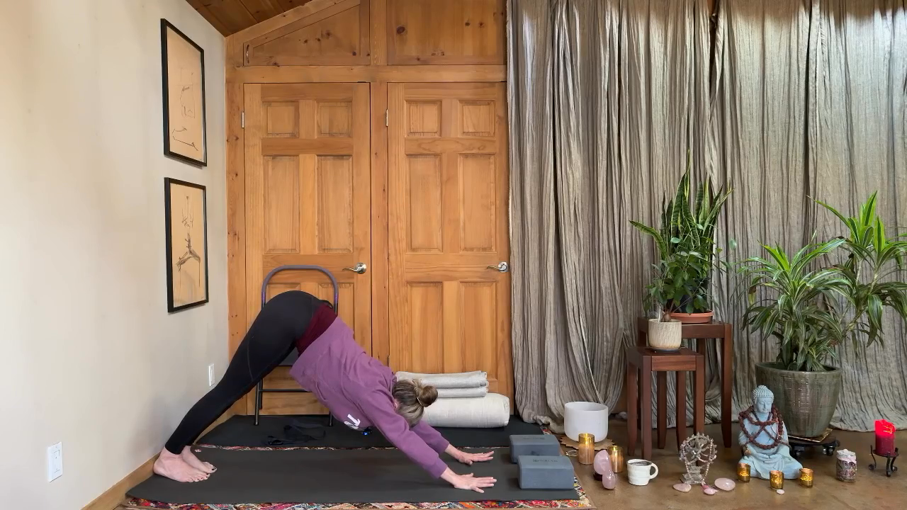 Seane Corn – Posture Lab-Anahata Unfolding: Heart-Opening Poses