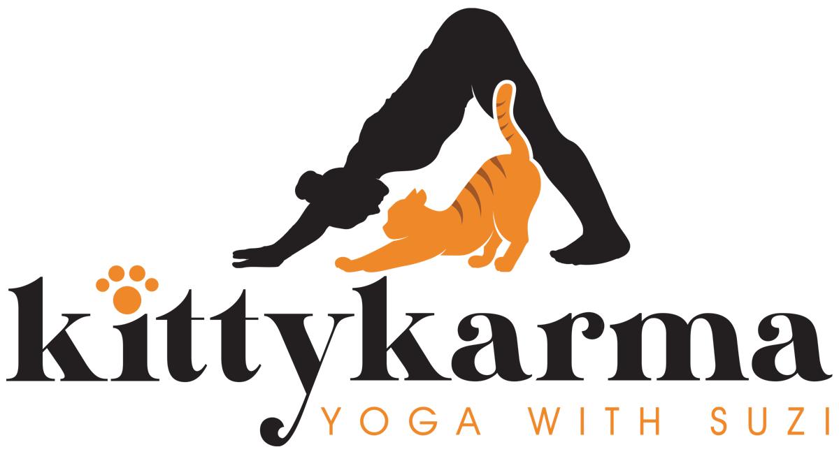 Union Kitty Karma Yoga HHHS at Spindrift Soul