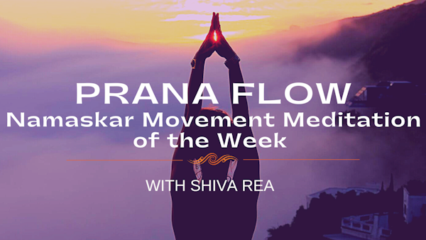Prana flow yoga