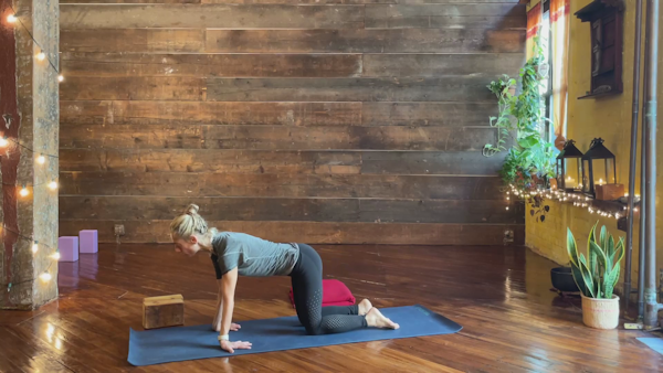 How to Chaturanga — Flow Yogi Flow