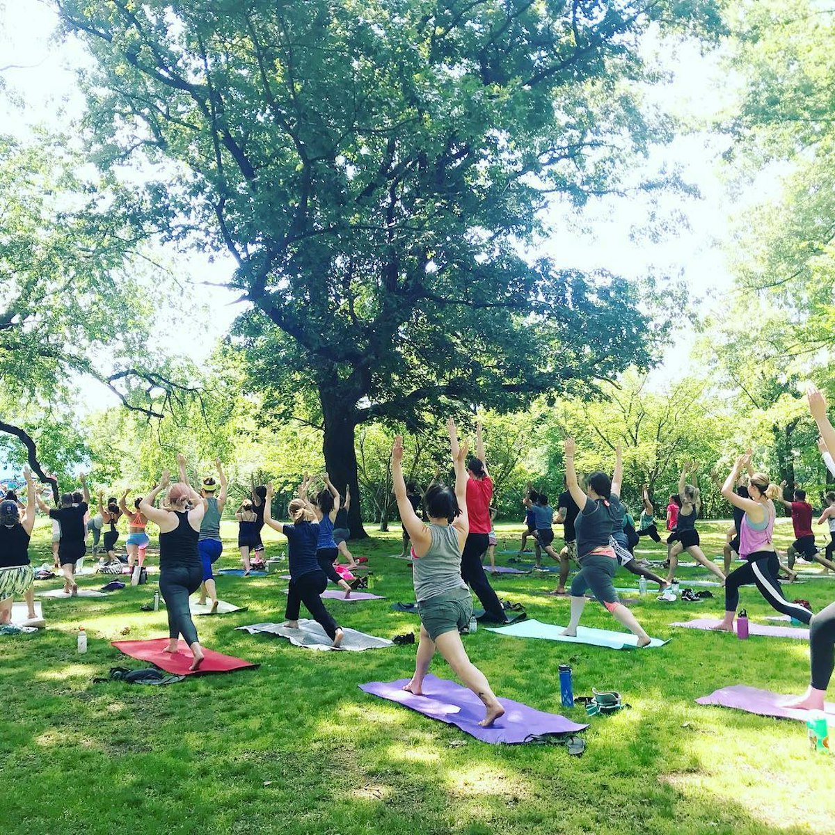 Union | Yoga at Magnolia Park at Lotus Yoga Studio