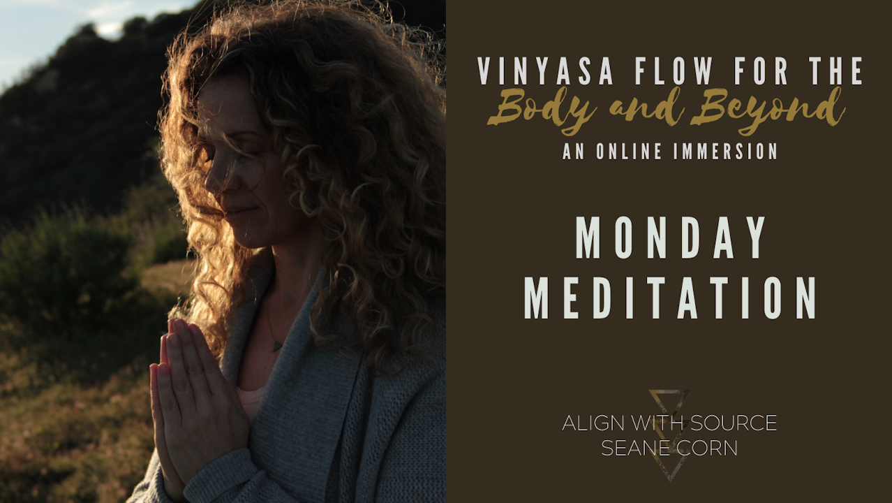Union Monday Meditation Intro to Vinyasa Flow at Seane Corn