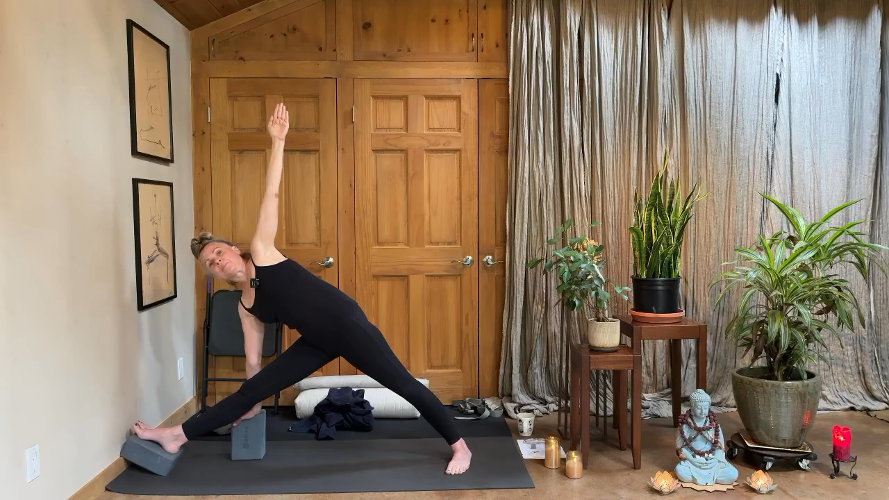 Seane Corn – Posture Lab-Balancing Act: Stability and Ease